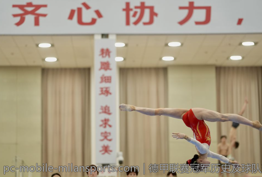 德甲联赛冠军历史及球队辉煌瞬间